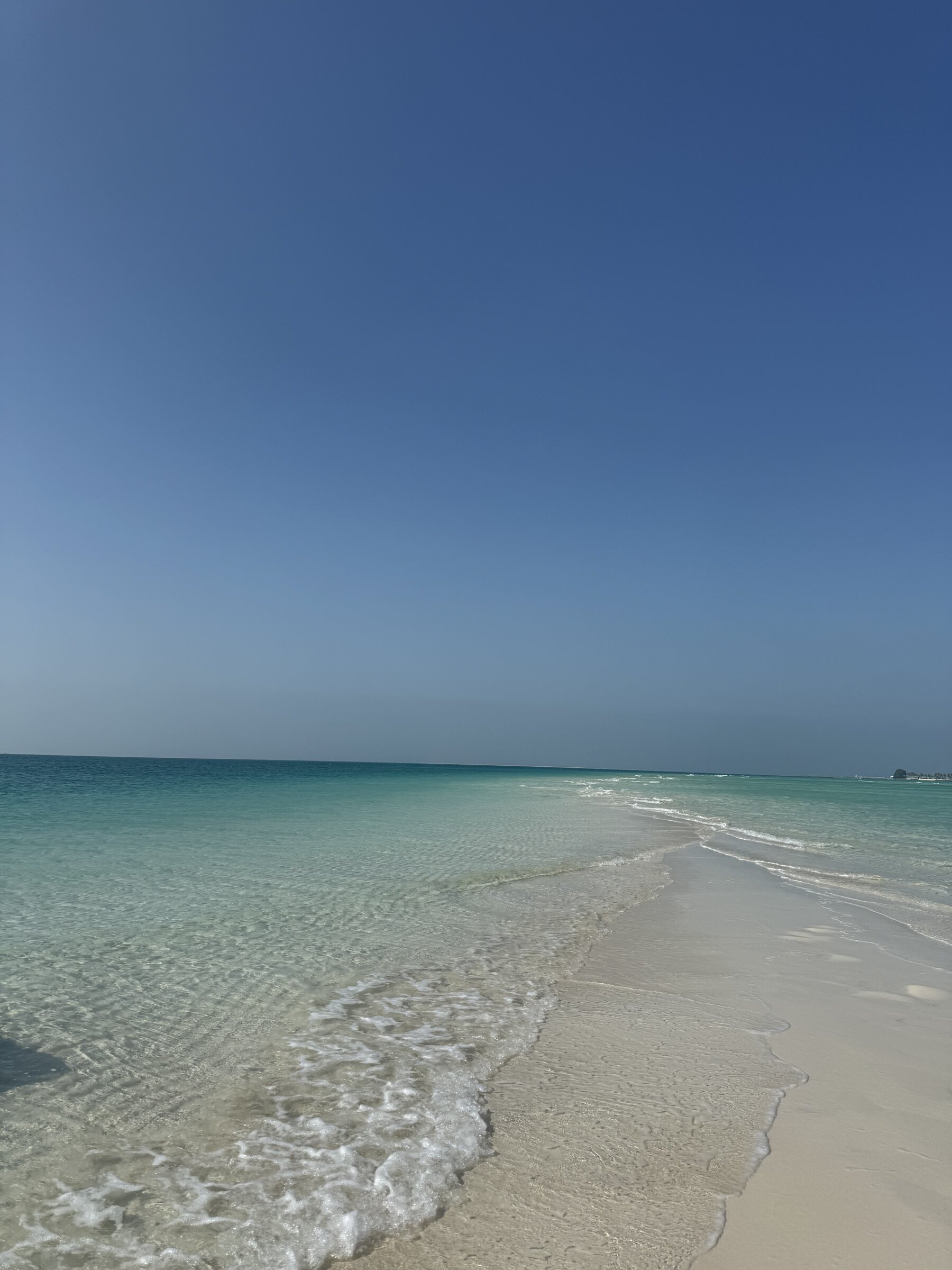 Turquoise sandbank off Al Futaisi, the island CLUPEA trips land on